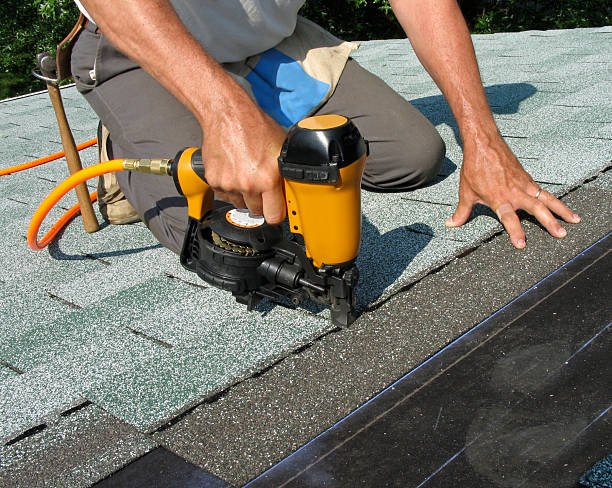 Best Storm Damage Roof Repair  in Ashland, AL