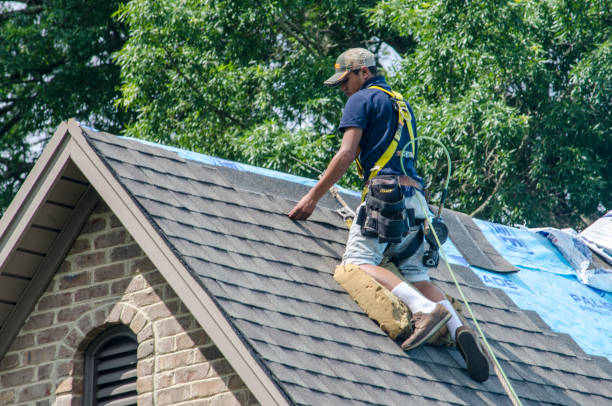 Best Roof Waterproofing Services  in Ashland, AL